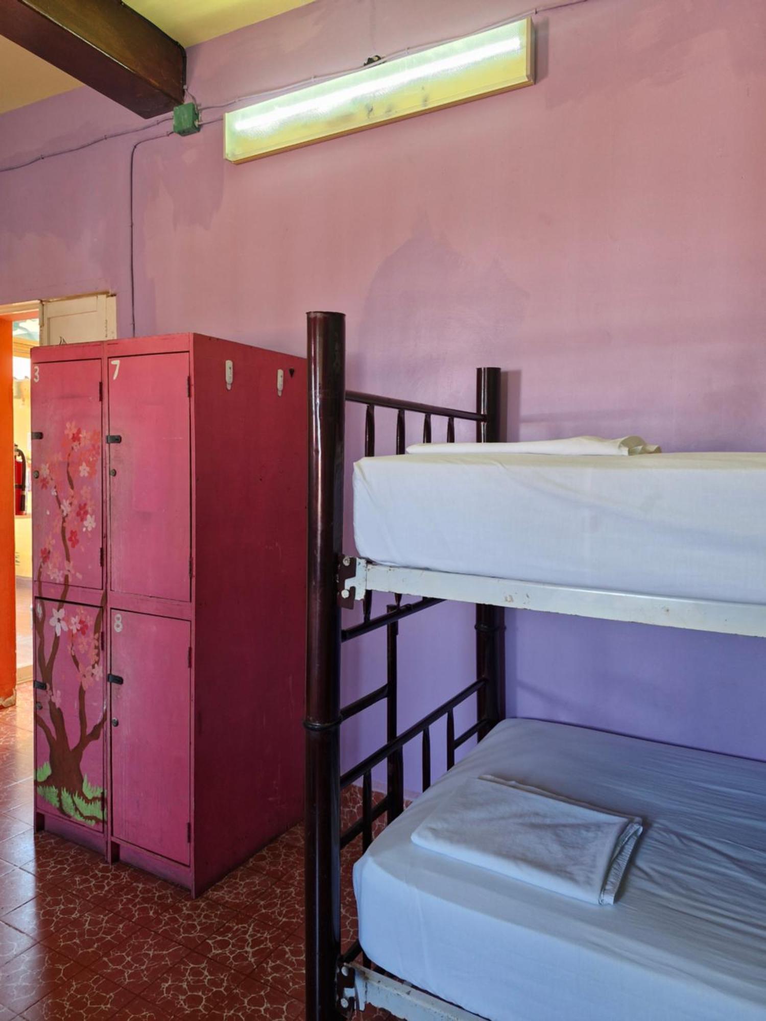 Casa Kraken Hostel Puerto Vallarta Bagian luar foto