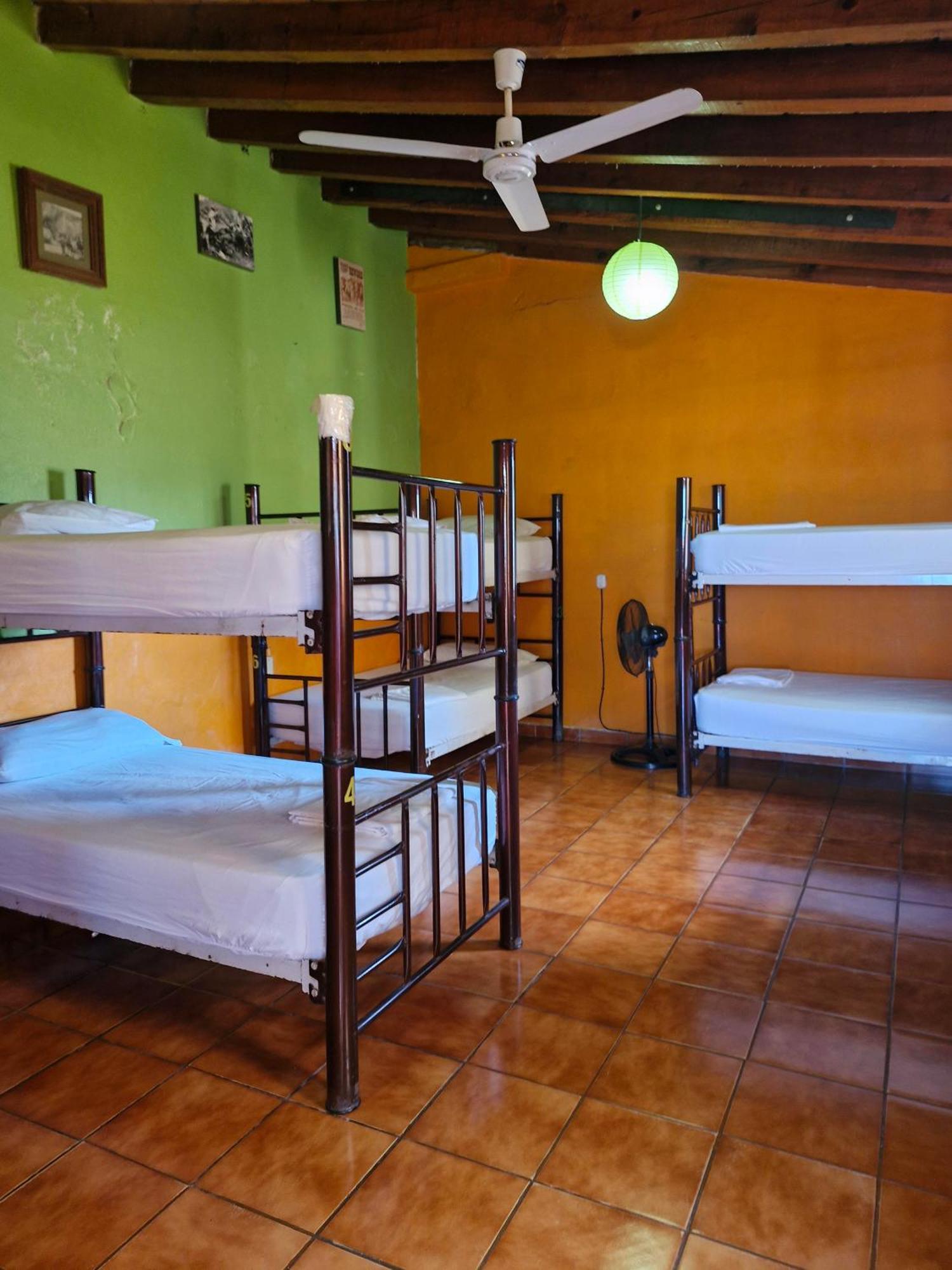 Casa Kraken Hostel Puerto Vallarta Bagian luar foto