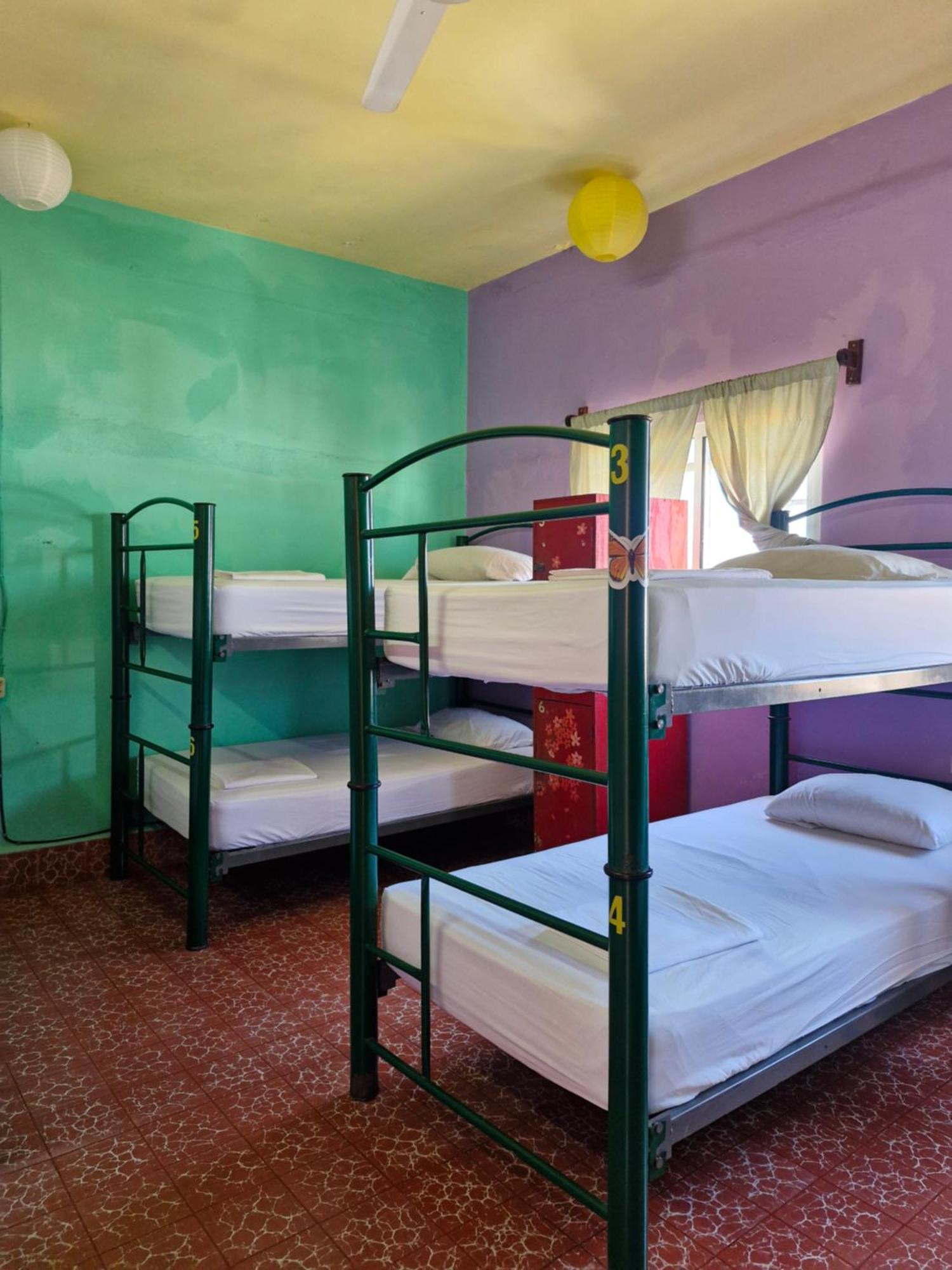 Casa Kraken Hostel Puerto Vallarta Bagian luar foto